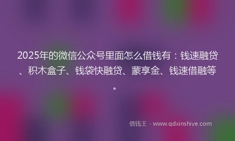 2025年的微信公众号里面怎么借钱有：钱速融贷、积木盒子、钱袋快融贷、蒙享金、钱速借融等。