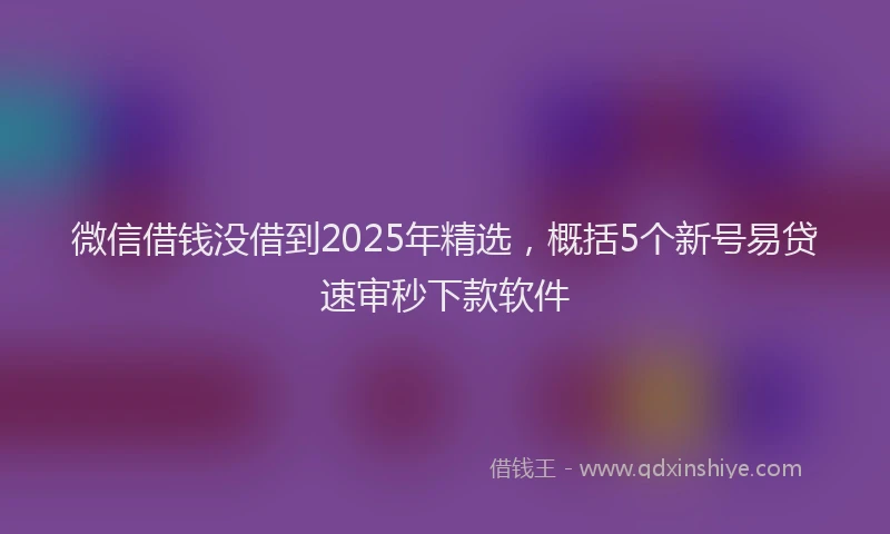 微信借钱没借到2025年精选，概括5个新号易贷速审秒下款软件