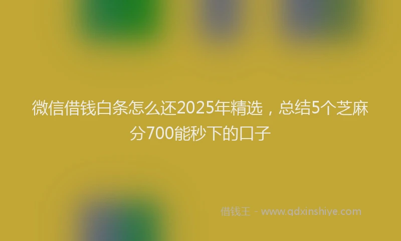 微信借钱白条怎么还2025年精选，总结5个芝麻分700能秒下的口子