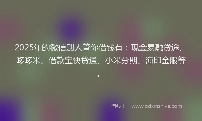2025年的微信别人管你借钱有：现金易融贷途、哆哆米、借款宝快贷通、小米分期、海印金服等。