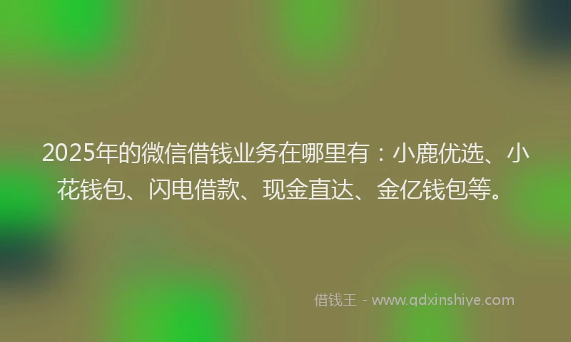 2025年的微信借钱业务在哪里有：小鹿优选、小花钱包、闪电借款、现金直达、金亿钱包等。