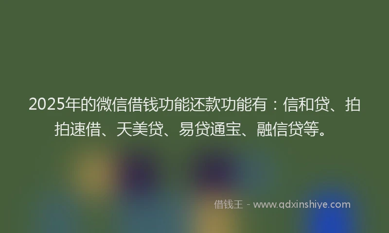2025年的微信借钱功能还款功能有：信和贷、拍拍速借、天美贷、易贷通宝、融信贷等。