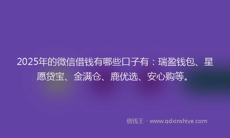 2025年的微信借钱有哪些口子有：瑞盈钱包、星愿贷宝、金满仓、鹿优选、安心购等。