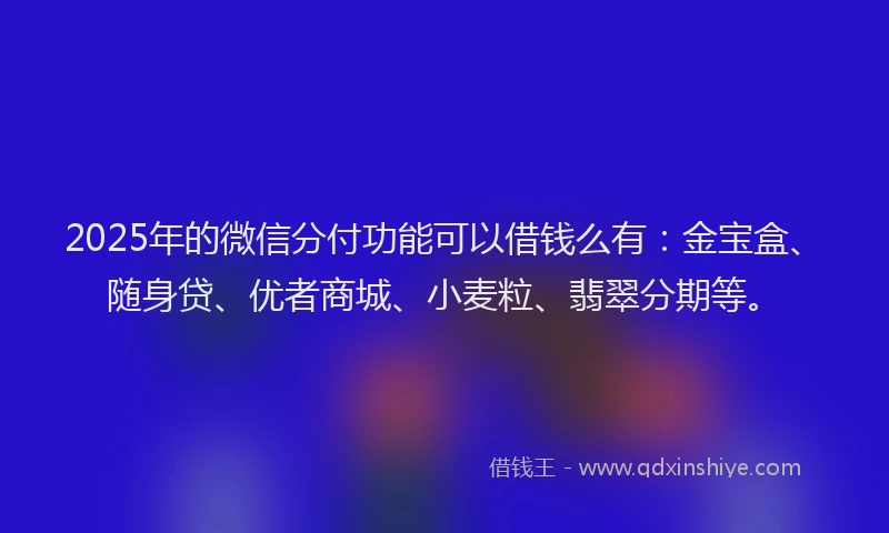 2025年的微信分付功能可以借钱么有：金宝盒、随身贷、优者商城、小麦粒、翡翠分期等。