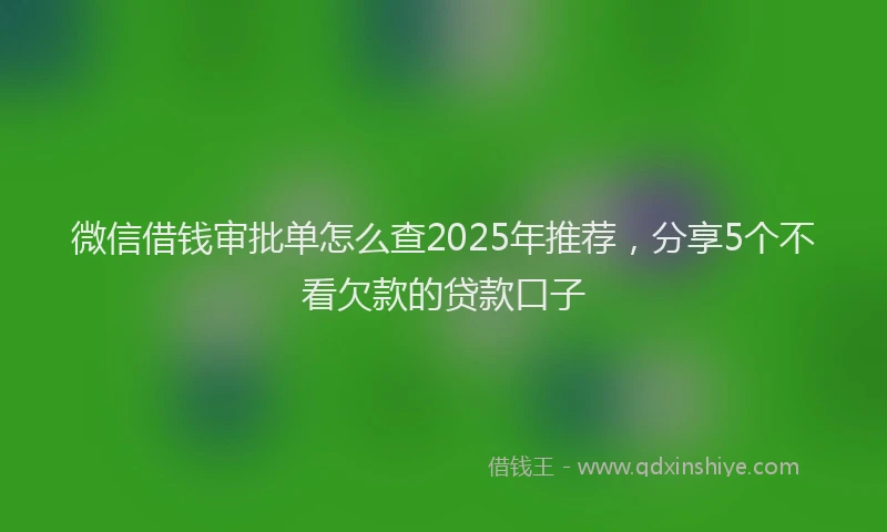 微信借钱审批单怎么查2025年推荐，分享5个不看欠款的贷款口子