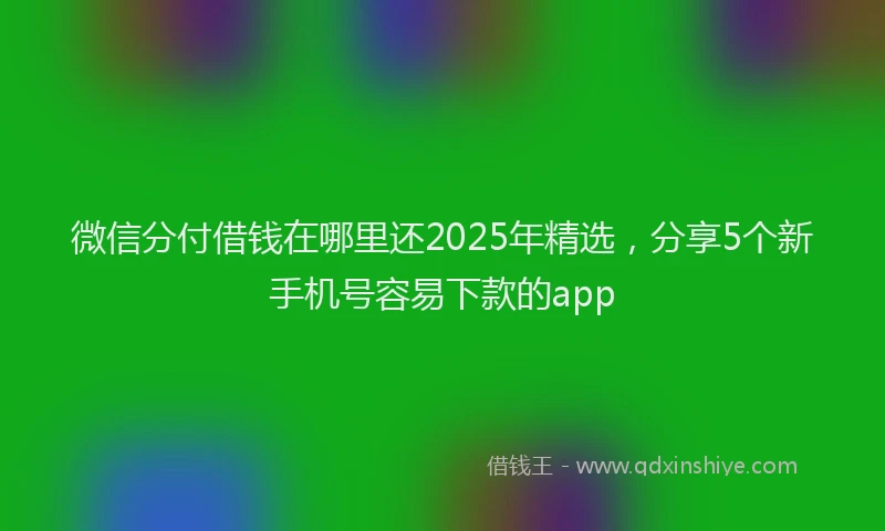 微信分付借钱在哪里还2025年精选，分享5个新手机号容易下款的app
