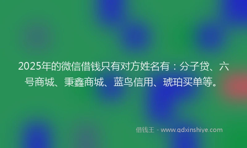 2025年的微信借钱只有对方姓名有：分子贷、六号商城、秉鑫商城、蓝鸟信用、琥珀买单等。