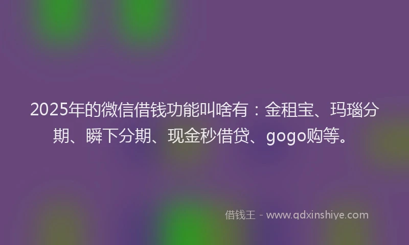 2025年的微信借钱功能叫啥有：金租宝、玛瑙分期、瞬下分期、现金秒借贷、gogo购等。