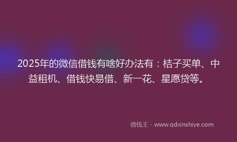 2025年的微信借钱有啥好办法有：桔子买单、中益租机、借钱快易借、新一花、星愿贷等。