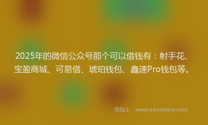 2025年的微信公众号那个可以借钱有：射手花、宝盈商城、可易借、琥珀钱包、鑫速Pro钱包等。