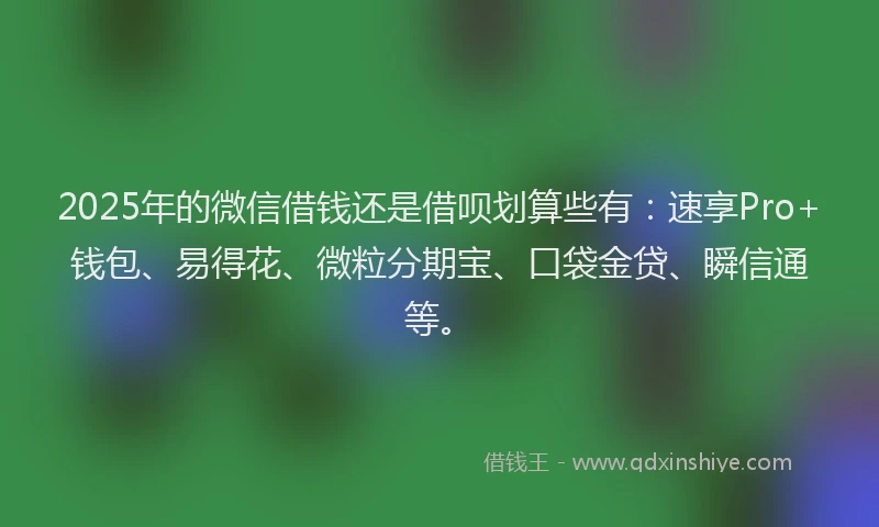 2025年的微信借钱还是借呗划算些有：速享Pro+钱包、易得花、微粒分期宝、口袋金贷、瞬信通等。