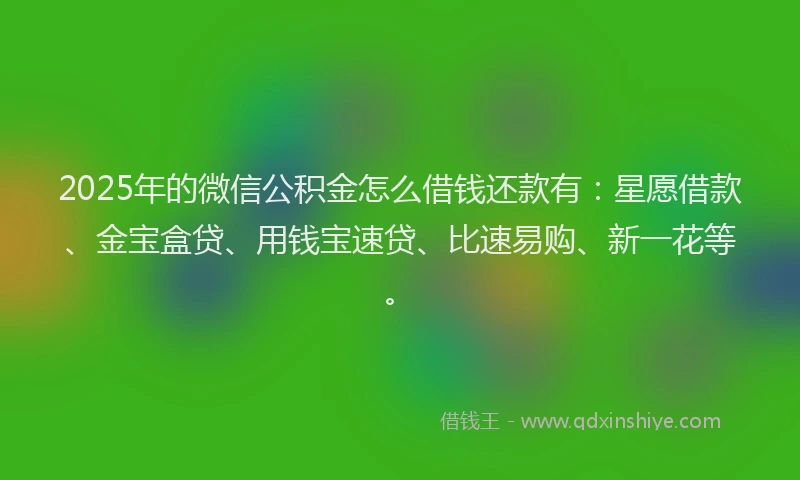 2025年的微信公积金怎么借钱还款有：星愿借款、金宝盒贷、用钱宝速贷、比速易购、新一花等。