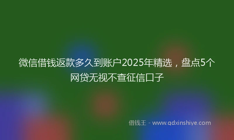 微信借钱返款多久到账户2025年精选，盘点5个网贷无视不查征信口子
