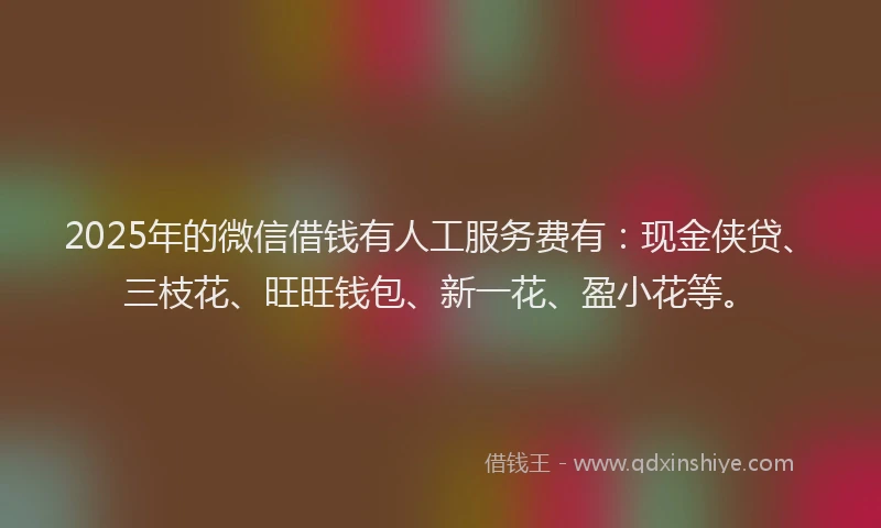 2025年的微信借钱有人工服务费有：现金侠贷、三枝花、旺旺钱包、新一花、盈小花等。