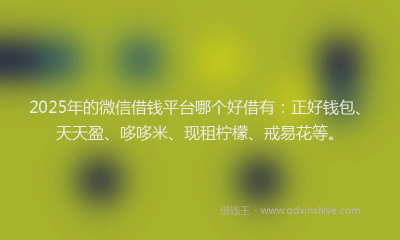 2025年的微信借钱平台哪个好借有：正好钱包、天天盈、哆哆米、现租柠檬、戒易花等。