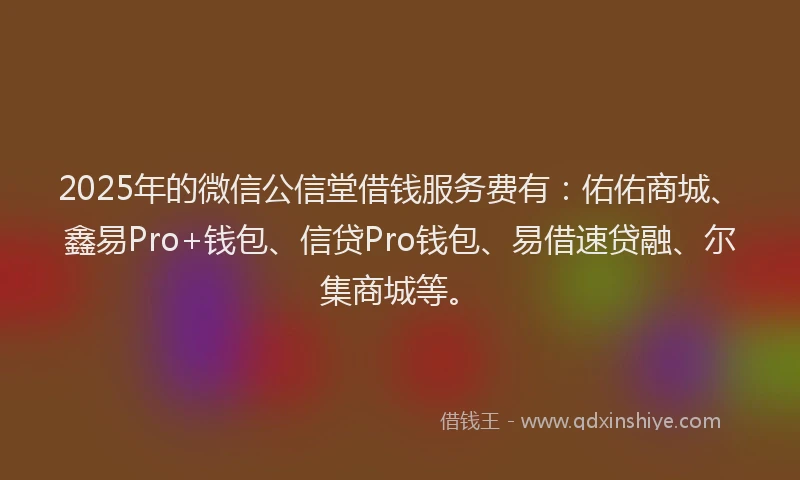 2025年的微信公信堂借钱服务费有：佑佑商城、鑫易Pro+钱包、信贷Pro钱包、易借速贷融、尔集商城等。