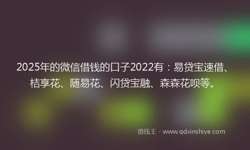 2025年的微信借钱的口子2022有：易贷宝速借、桔享花、随易花、闪贷宝融、森森花呗等。