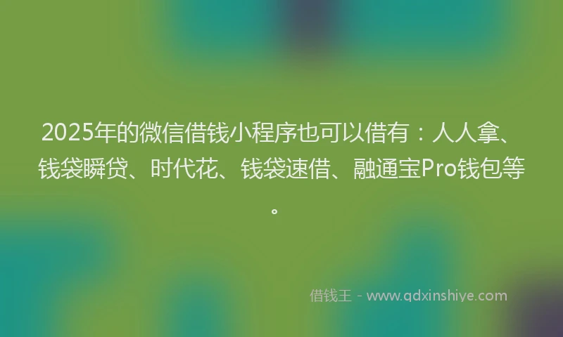 2025年的微信借钱小程序也可以借有：人人拿、钱袋瞬贷、时代花、钱袋速借、融通宝Pro钱包等。