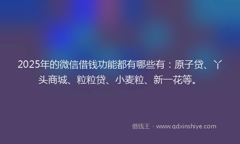 2025年的微信借钱功能都有哪些有：原子贷、丫头商城、粒粒贷、小麦粒、新一花等。