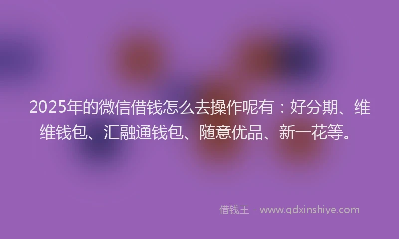 2025年的微信借钱怎么去操作呢有：好分期、维维钱包、汇融通钱包、随意优品、新一花等。