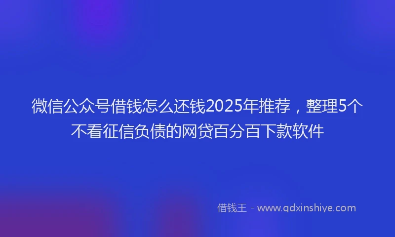 微信公众号借钱怎么还钱2025年推荐，整理5个不看征信负债的网贷百分百下款软件