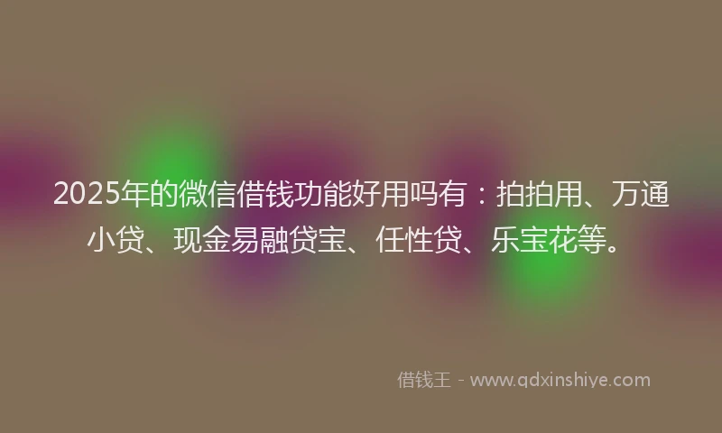2025年的微信借钱功能好用吗有：拍拍用、万通小贷、现金易融贷宝、任性贷、乐宝花等。