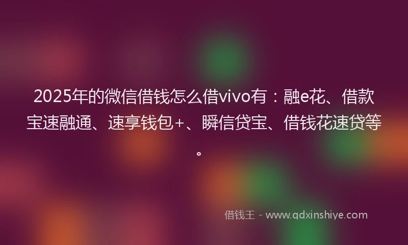 2025年的微信借钱怎么借vivo有：融e花、借款宝速融通、速享钱包+、瞬信贷宝、借钱花速贷等。
