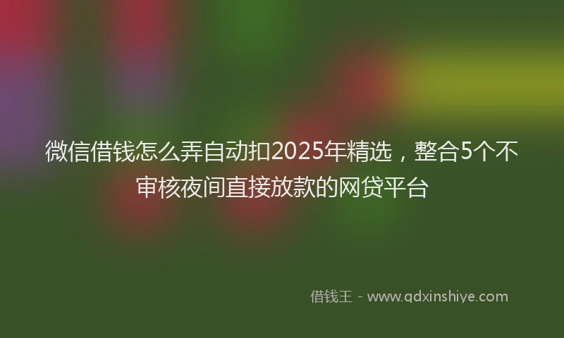 微信借钱怎么弄自动扣2025年精选，整合5个不审核夜间直接放款的网贷平台