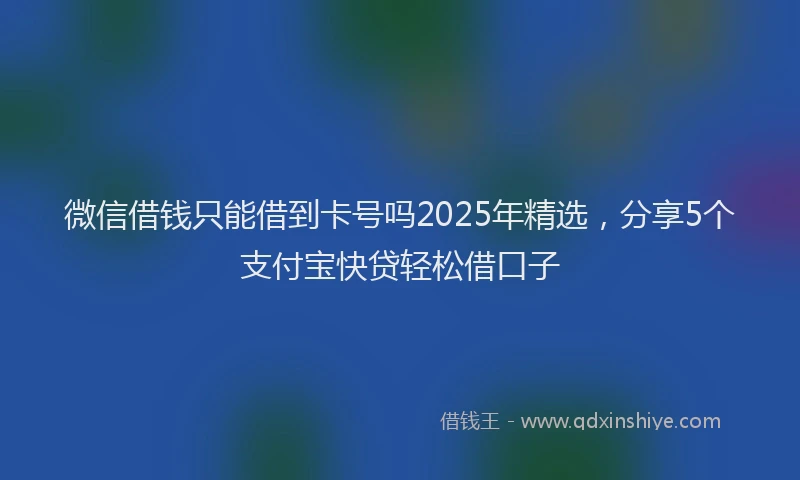 微信借钱只能借到卡号吗2025年精选，分享5个支付宝快贷轻松借口子