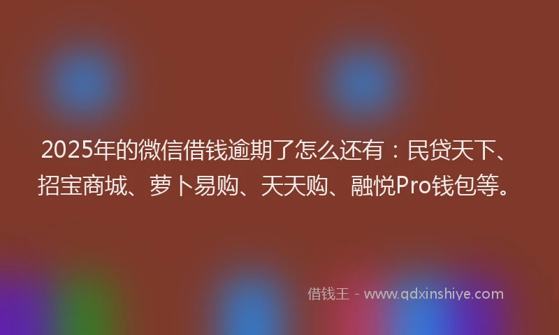 2025年的微信借钱逾期了怎么还有：民贷天下、招宝商城、萝卜易购、天天购、融悦Pro钱包等。