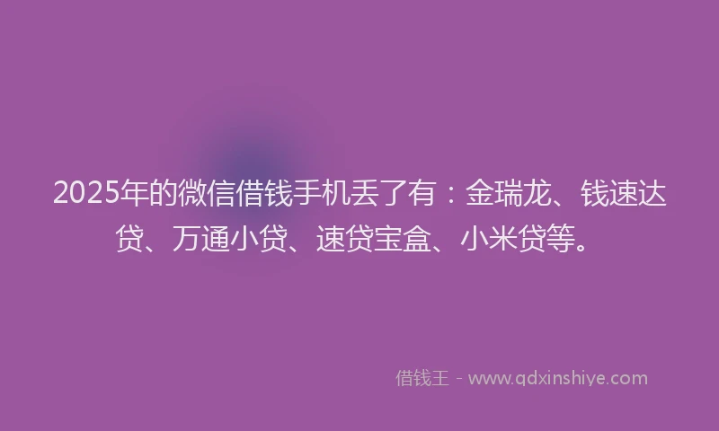 2025年的微信借钱手机丢了有：金瑞龙、钱速达贷、万通小贷、速贷宝盒、小米贷等。