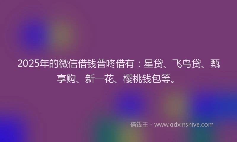 2025年的微信借钱普咚借有：星贷、飞鸟贷、甄享购、新一花、樱桃钱包等。
