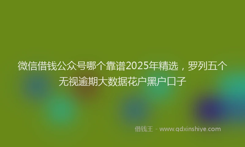 微信借钱公众号哪个靠谱2025年精选，罗列五个无视逾期大数据花户黑户口子