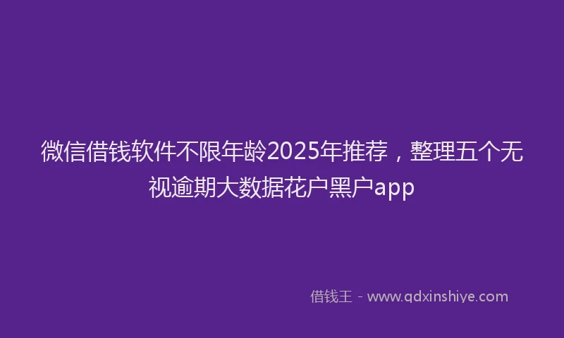 微信借钱软件不限年龄2025年推荐，整理五个无视逾期大数据花户黑户app