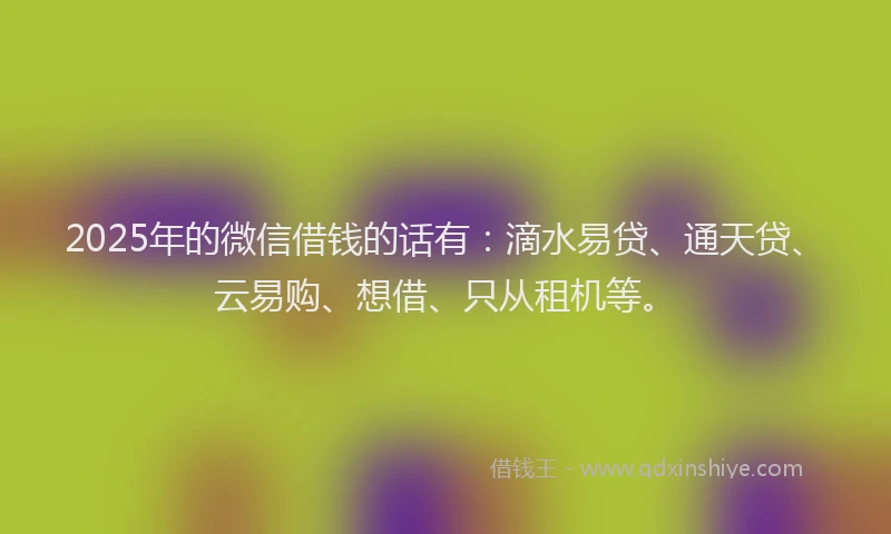 2025年的微信借钱的话有：滴水易贷、通天贷、云易购、想借、只从租机等。