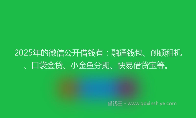 2025年的微信公开借钱有：融通钱包、创硕租机、口袋金贷、小金鱼分期、快易借贷宝等。
