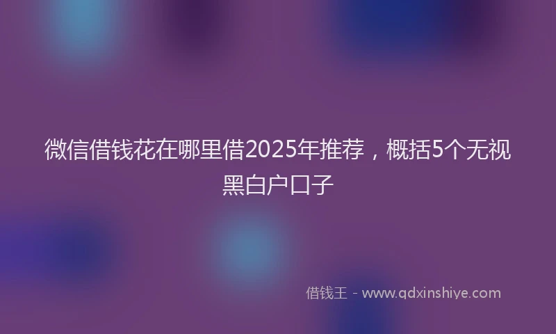 微信借钱花在哪里借2025年推荐，概括5个无视黑白户口子