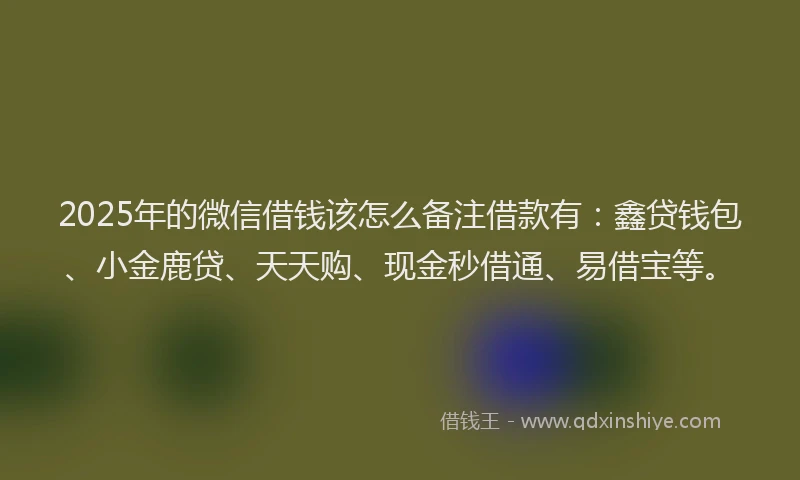2025年的微信借钱该怎么备注借款有：鑫贷钱包、小金鹿贷、天天购、现金秒借通、易借宝等。