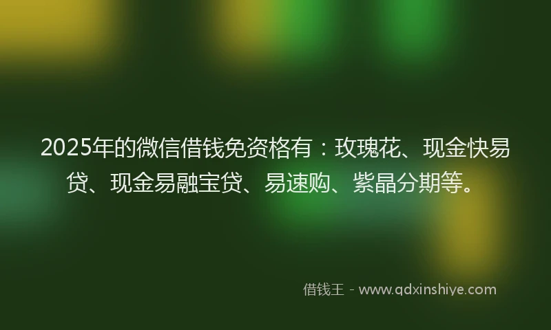 2025年的微信借钱免资格有：玫瑰花、现金快易贷、现金易融宝贷、易速购、紫晶分期等。