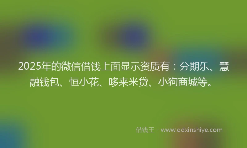 2025年的微信借钱上面显示资质有：分期乐、慧融钱包、恒小花、哆来米贷、小狗商城等。