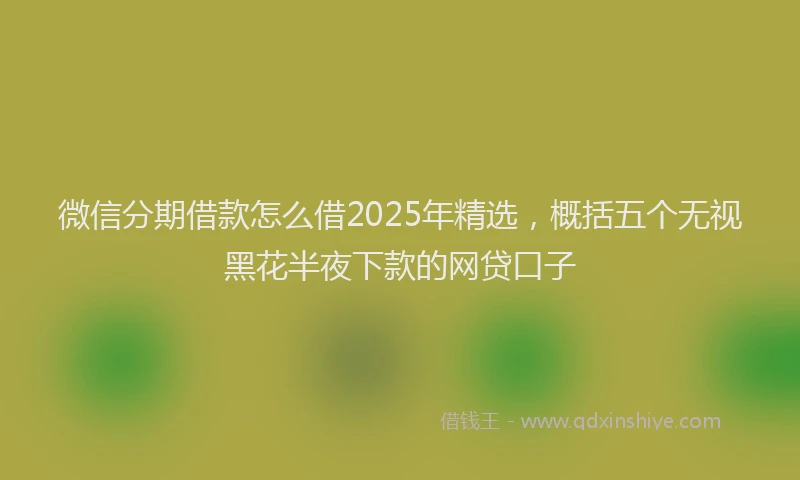 微信分期借款怎么借2025年精选，概括五个无视黑花半夜下款的网贷口子