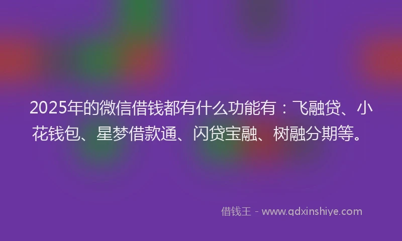 2025年的微信借钱都有什么功能有：飞融贷、小花钱包、星梦借款通、闪贷宝融、树融分期等。
