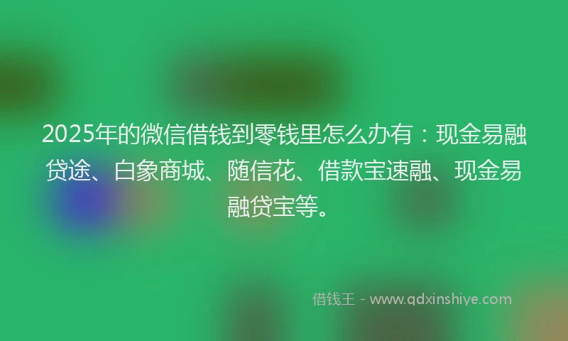 2025年的微信借钱到零钱里怎么办有：现金易融贷途、白象商城、随信花、借款宝速融、现金易融贷宝等。