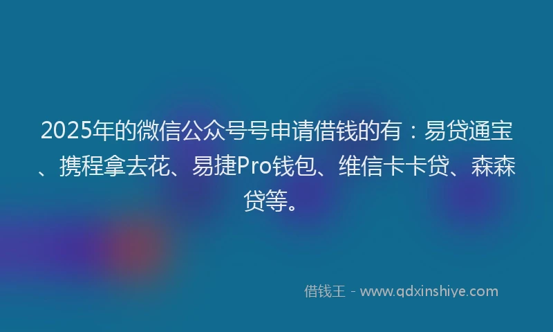 2025年的微信公众号号申请借钱的有：易贷通宝、携程拿去花、易捷Pro钱包、维信卡卡贷、森森贷等。