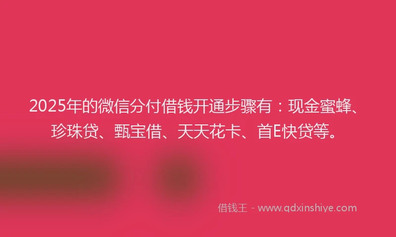2025年的微信分付借钱开通步骤有：现金蜜蜂、珍珠贷、甄宝借、天天花卡、首E快贷等。