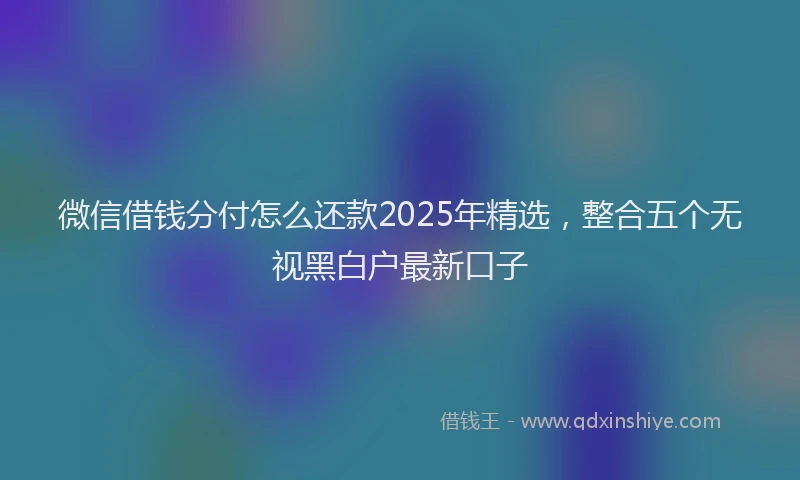 微信借钱分付怎么还款2025年精选，整合五个无视黑白户最新口子