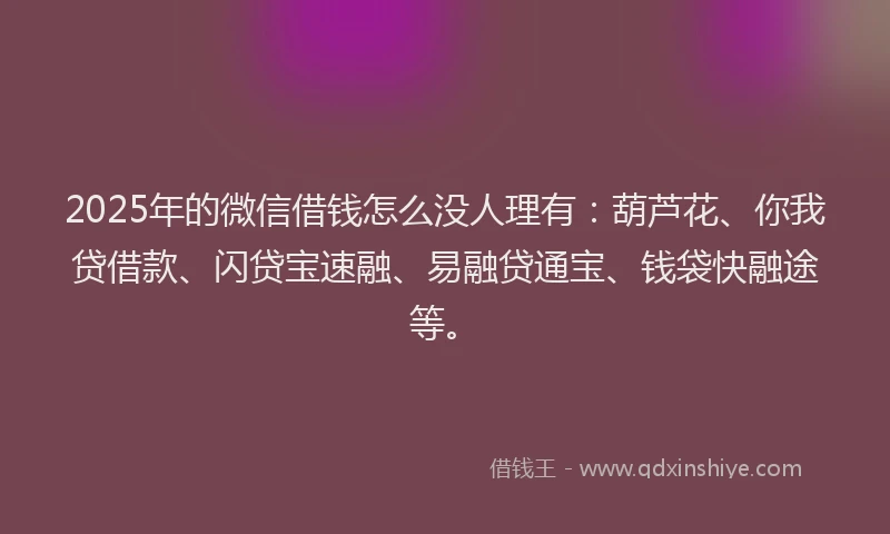 2025年的微信借钱怎么没人理有：葫芦花、你我贷借款、闪贷宝速融、易融贷通宝、钱袋快融途等。