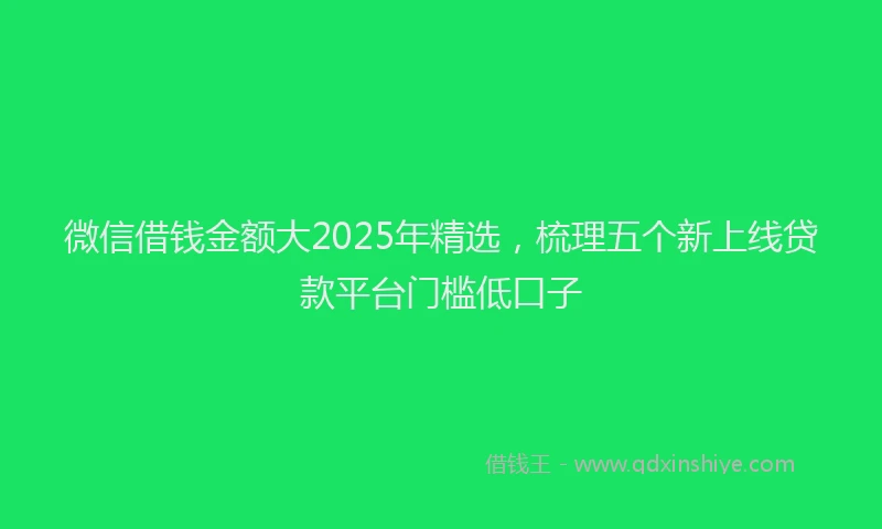 微信借钱金额大2025年精选，梳理五个新上线贷款平台门槛低口子