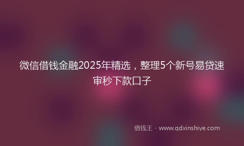 微信借钱金融2025年精选，整理5个新号易贷速审秒下款口子
