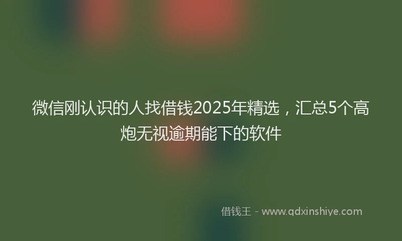 微信刚认识的人找借钱2025年精选，汇总5个高炮无视逾期能下的软件